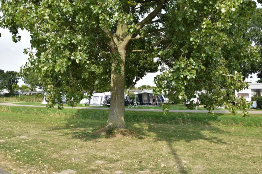 Camping Brielle kampeerplaats Spronsen buitenrand 29