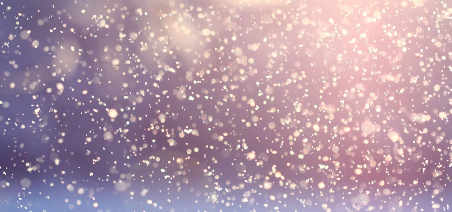 Website Header De Meeuw