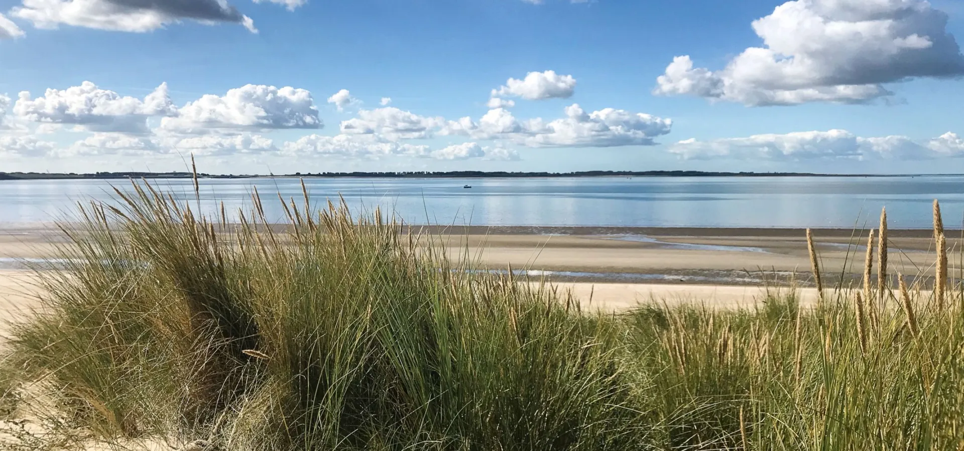 Omgeving camping brielle